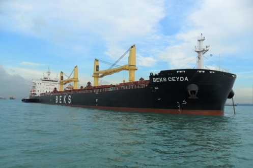 TFG Marine supplies first delivery of carbon offset bio-blend bunker fuel to Western Bulk